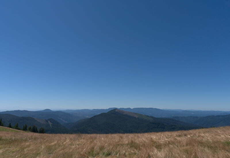 Oregon Mountain View