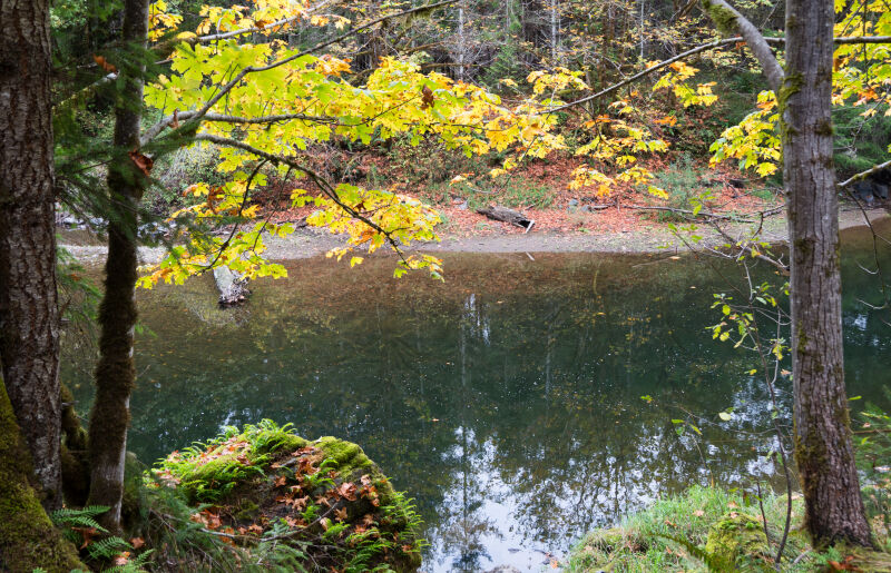 Fall Creek in Fall
