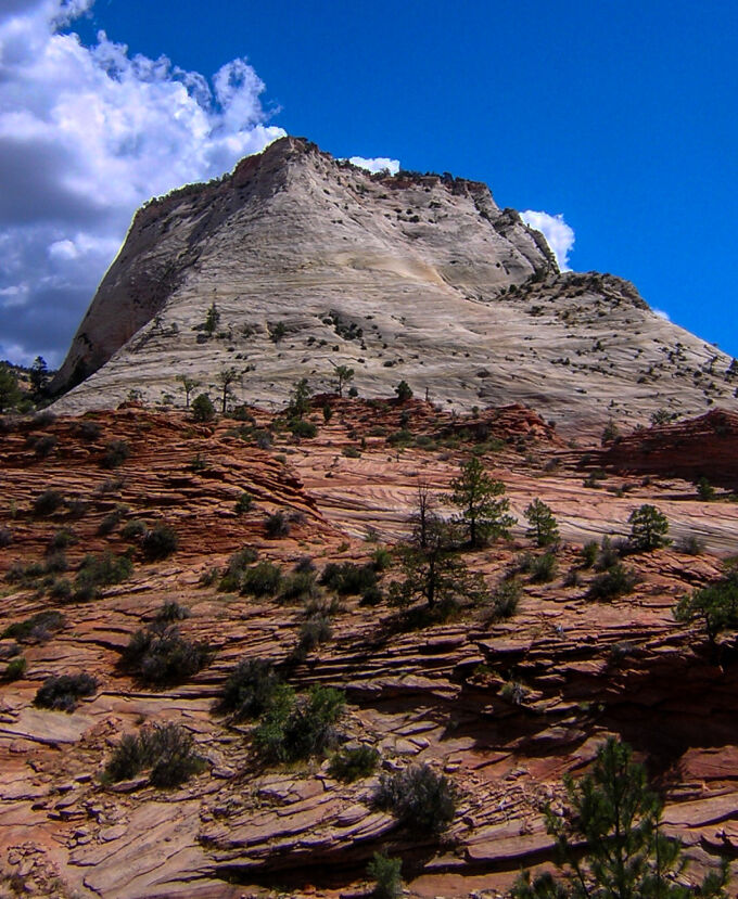 Zion's Tower