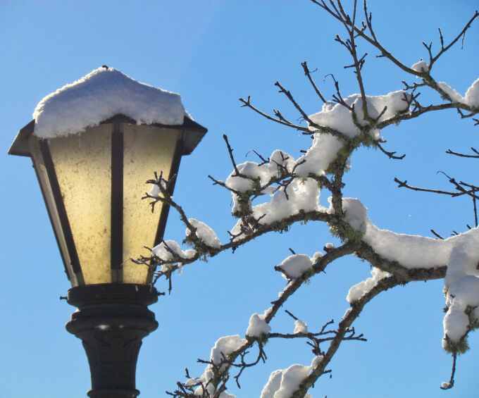 Snowy Lamppost