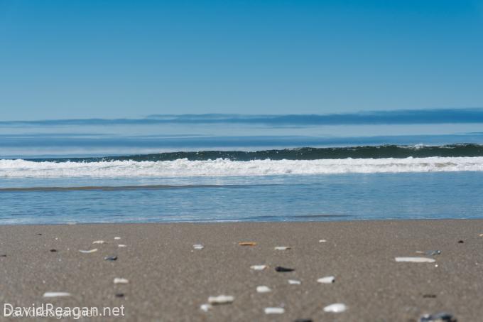 Ocean Waves
