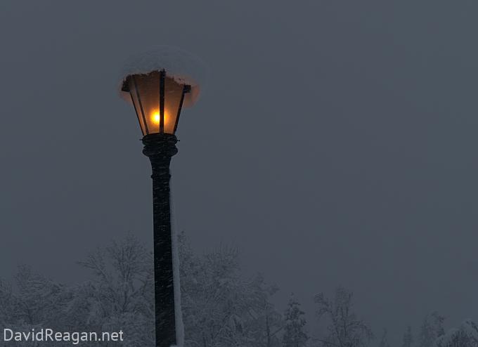 Snowy Lightpost