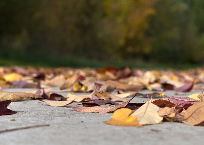 A Little Bit Of Fall