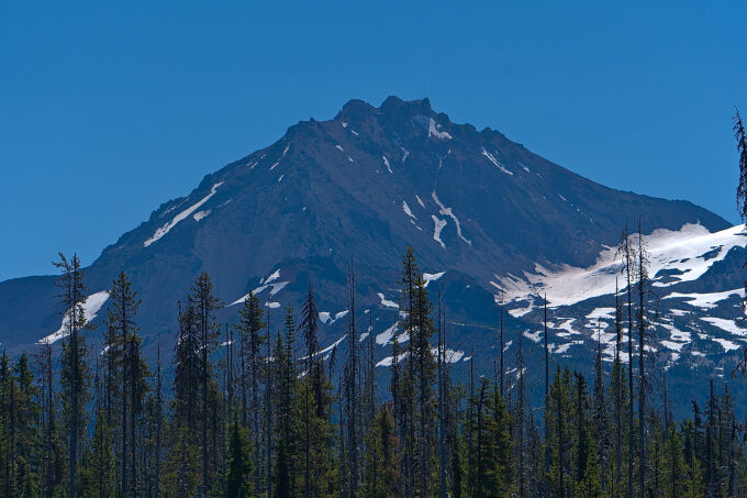 Mountain and Forest