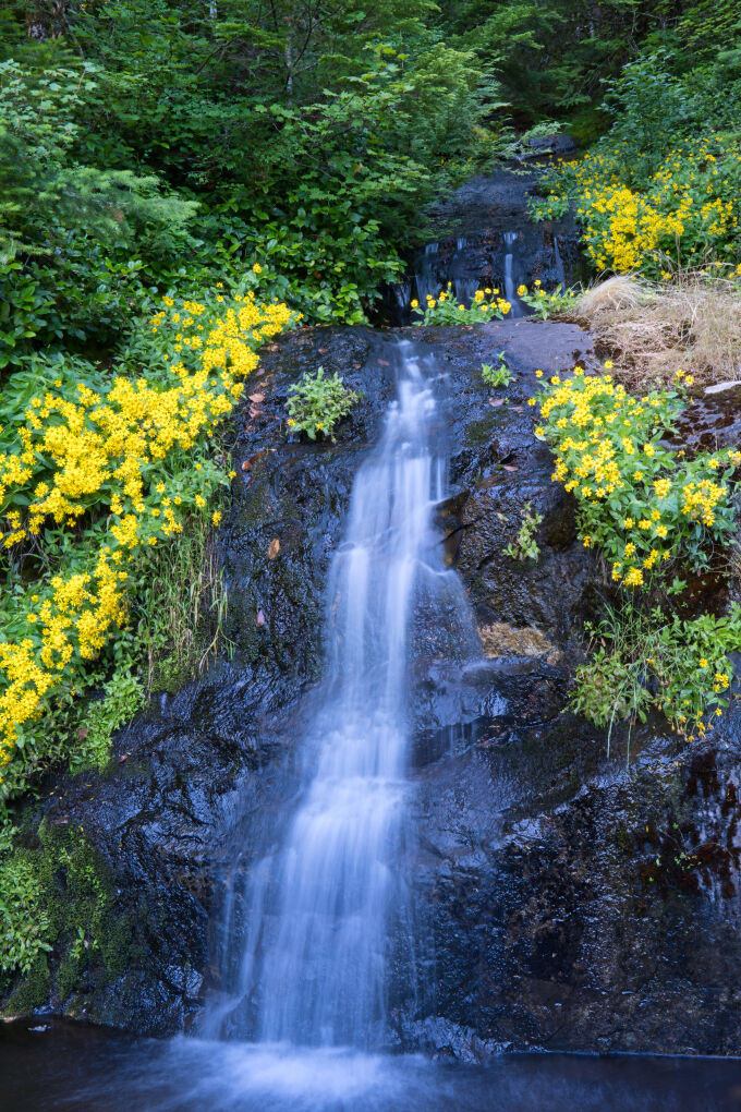 Summertime Waterfall