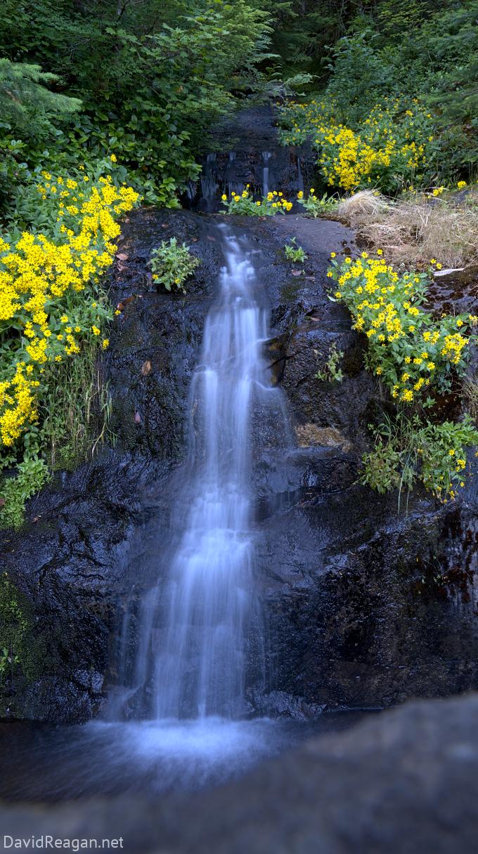 Flowerfall