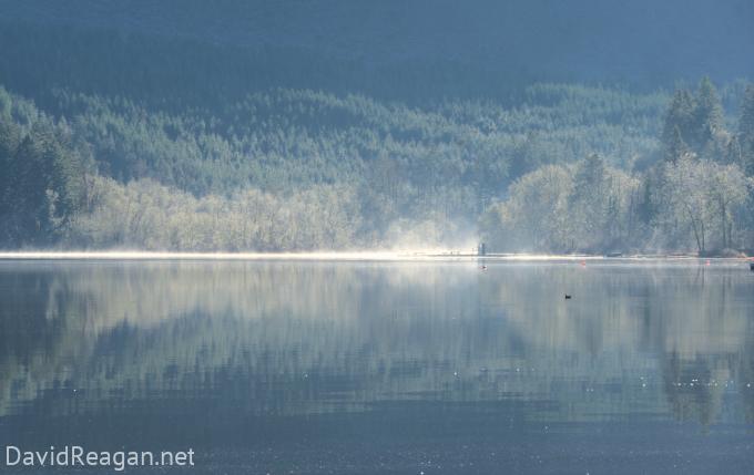 Misty Lake
