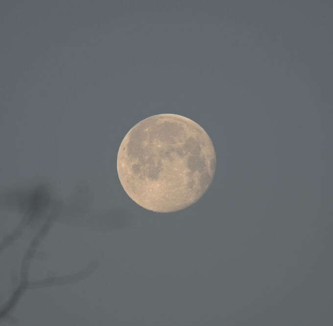 Yellow Moon