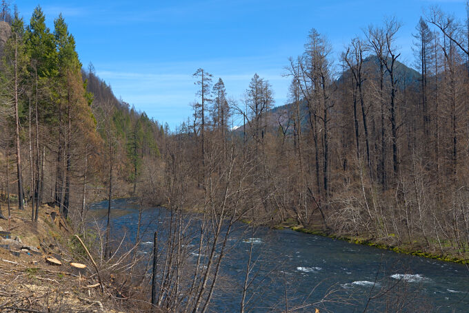 Fire Scorched Riverside