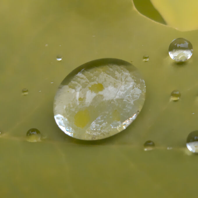 Rain at Rest