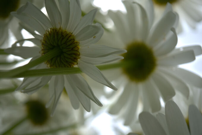 2022-06-08--13-43-11--18166jpg