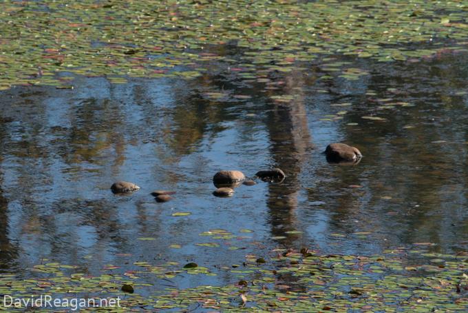 2022-09-30--15-01-31--18576jpg