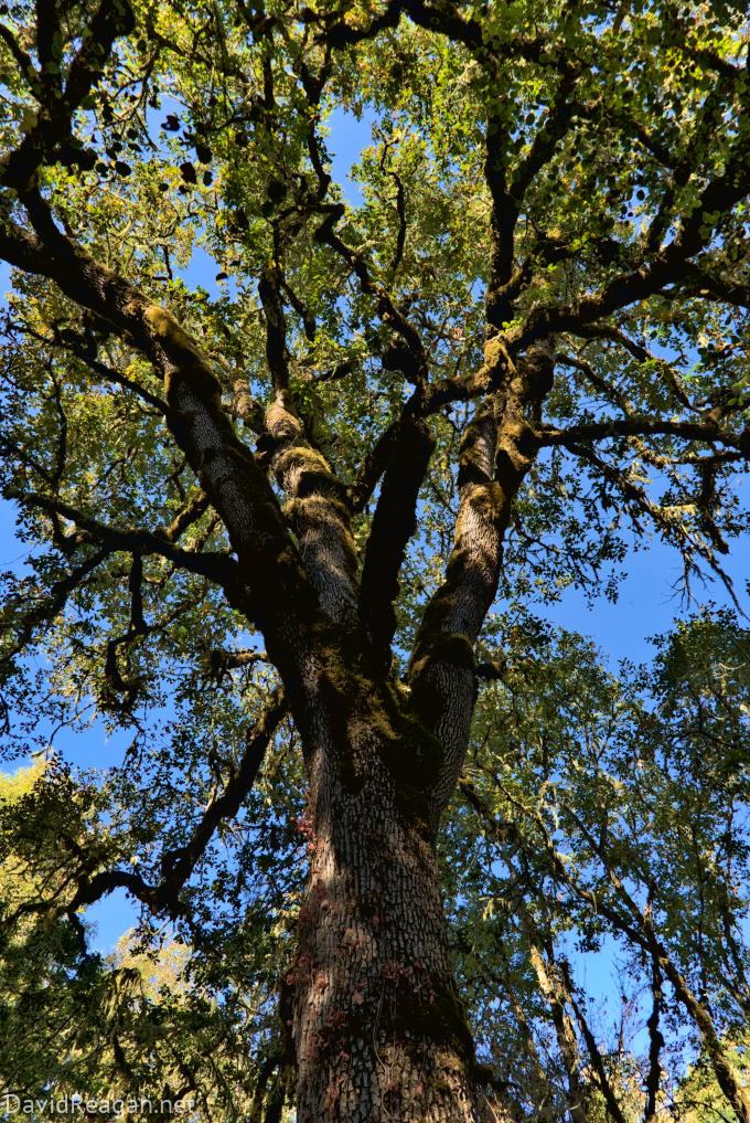 2022-10-02--10-09-18--18600jpg