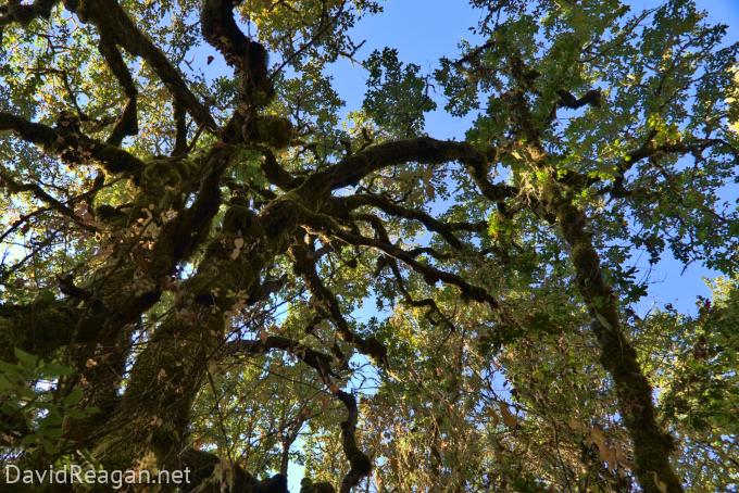 2022-10-02--10-10-06--18604jpg