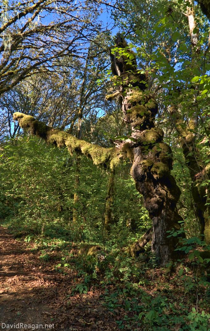 2022-10-02--10-12-38--18609jpg