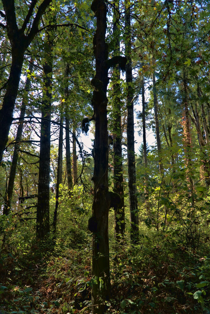 2022-10-02--10-17-33--18622jpg