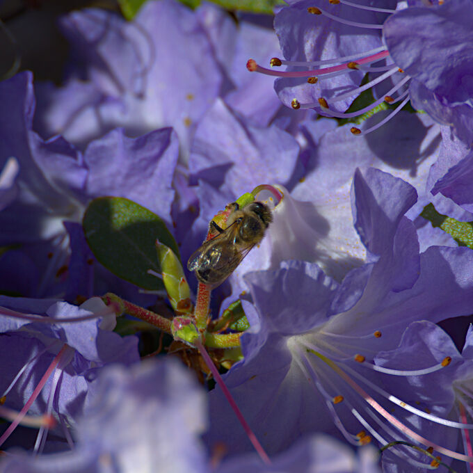 2023-05-09--16-40-12--21310jpg