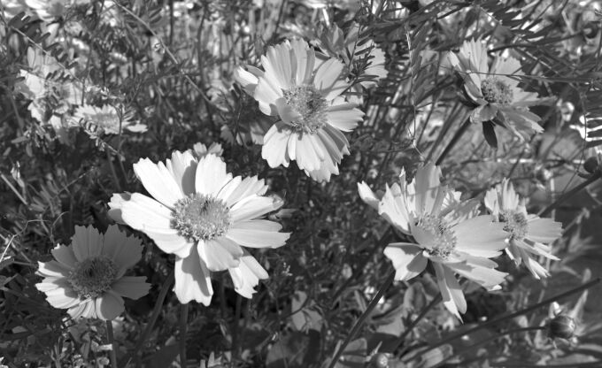 2023-05-23--16-56-30--21913jpg